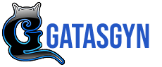 Gatasgyn